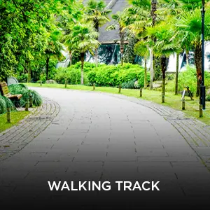 Walking-track.webp